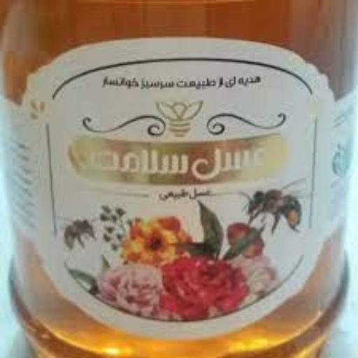 عسل طبیعی سلامت خوانسار ( 850 گرمی )  دارای کد قرعه کشی